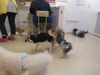 IMG_3975.jpg