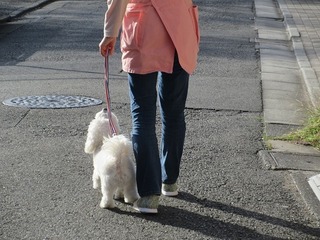 IMG_3987.jpg