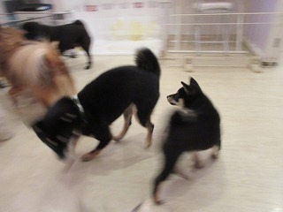 IMG_3989.jpg