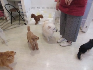 IMG_3993.jpg
