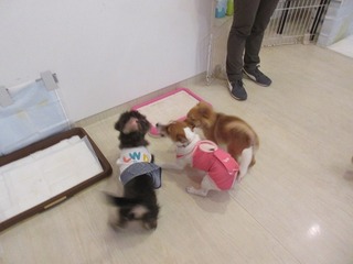 IMG_4030.jpg