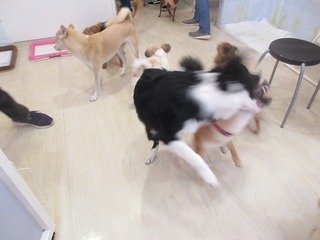 IMG_4052.jpg