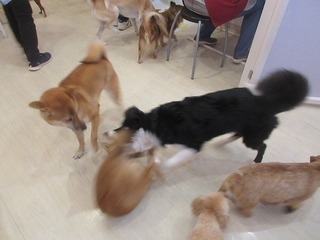 IMG_4065.jpg