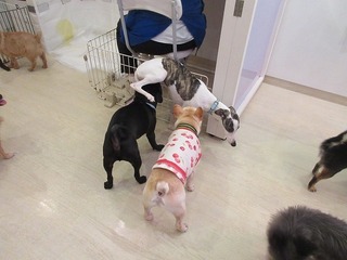 IMG_4085.jpg