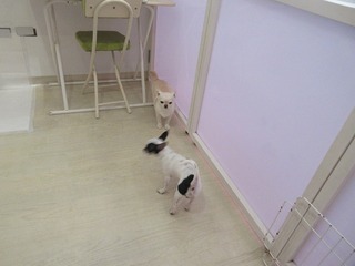 IMG_4140.jpg