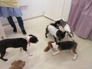 IMG_4170.jpg