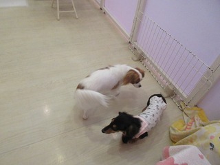 IMG_4172.jpg