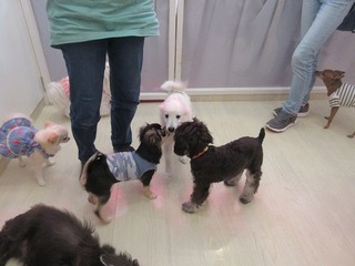IMG_4188.jpg