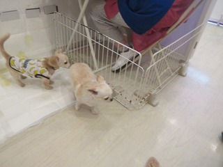 IMG_4421.jpg