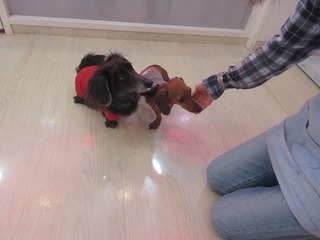 IMG_4435.jpg
