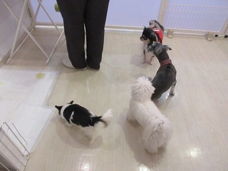 IMG_4484.jpg