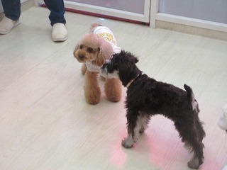 IMG_4556.jpg