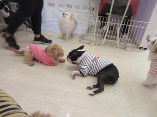 IMG_4560.jpg