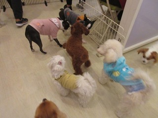 IMG_4572.jpg