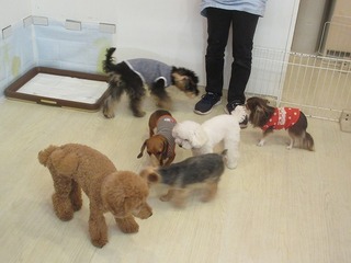 IMG_4583.jpg