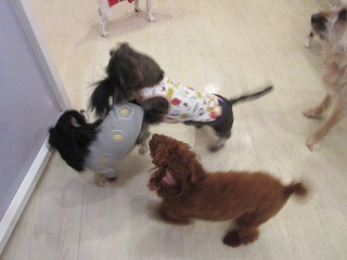 IMG_4672.jpg