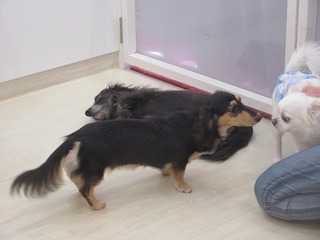 IMG_4676.jpg