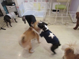 IMG_4677.jpg