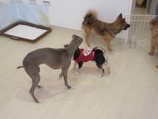 IMG_4691.jpg