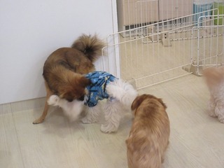 IMG_4699.jpg