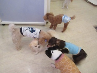 IMG_4719.jpg