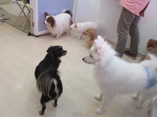 IMG_4777.jpg