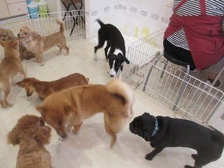 IMG_4786.jpg