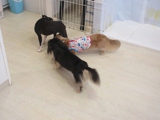 IMG_4887.jpg