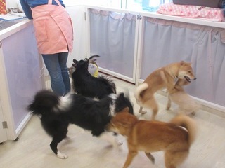 IMG_4917.jpg