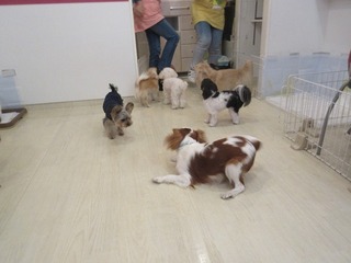 IMG_4980.jpg