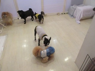 IMG_5073.jpg