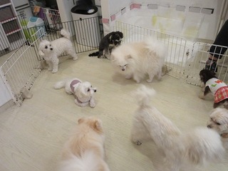 IMG_5110.jpg
