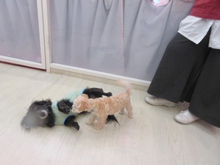 IMG_5148.jpg
