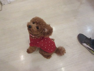 IMG_5149.jpg