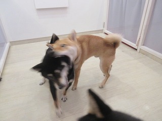 IMG_5194.jpg