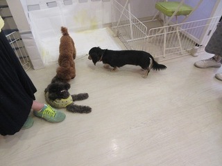 IMG_5236.jpg