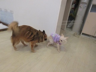 IMG_5316.jpg