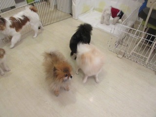 IMG_5360.jpg