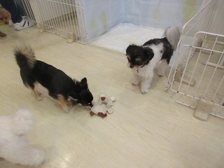 IMG_5394.jpg