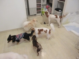 IMG_5420.jpg