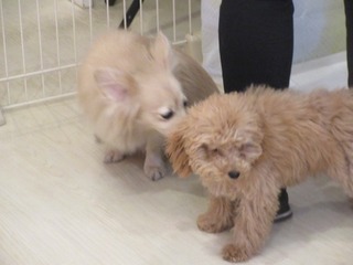 IMG_5422.jpg