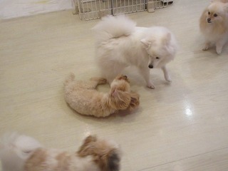 IMG_5454.jpg