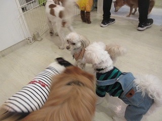 IMG_5578.jpg