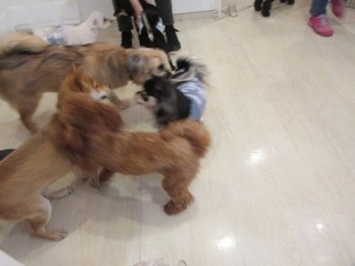 IMG_5644.jpg