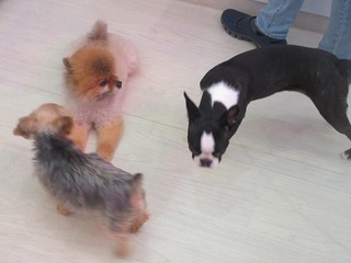 IMG_5645.jpg