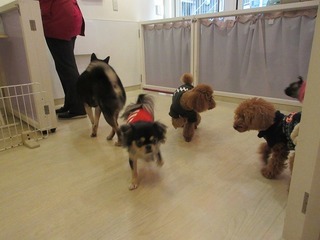 IMG_5654.jpg