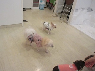 IMG_5698.jpg