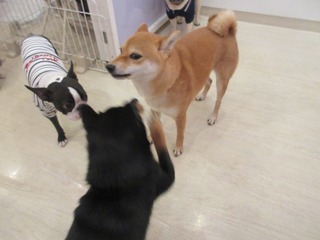IMG_5720.jpg
