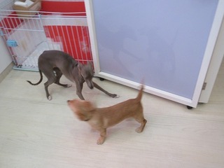 IMG_5751.jpg