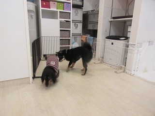 IMG_5756.jpg